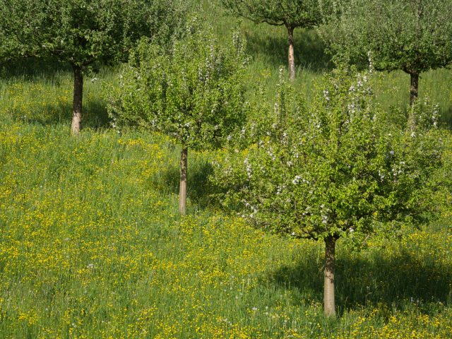 Comment se protéger efficacement des allergies saisonnières ?